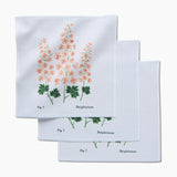 July Delphinium Dishcloth Set