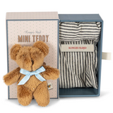 Tiny Teddy Bear- Miniature Tedy Bear in Box Bed
