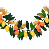 Citrus Fruit Garland