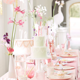 Princess Large Napkin