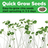 Grow a Mini Garden - Princess - DIY Craft Kit for Kids