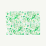 Daisy Gift Wrap