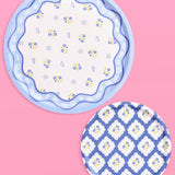 Blue White Coastal Plates