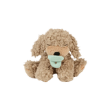 Dinkum Binky Puppies