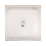 Border Paper Plate - 11"