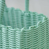 PVC cat beach bag basket
