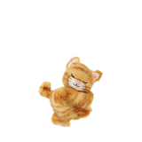 Binky Kitten Koda - Ginger