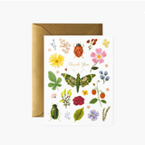 Curio Thank You Card