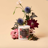 Gracie Amber and Black Vanilla 9oz Glass Candle