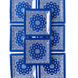 Blue Bandana Paper Plates