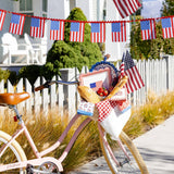Gingham Flag Paper Plate - 10"