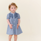 Baby Girls Lucia Dress Set- Light Blue Carnations