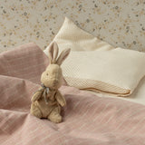 My First Bunny- Brown