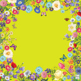 Chartreuse Garden Mat