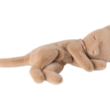 Sleeping kitten plush, Small- Cream Peach