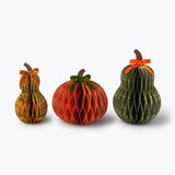 Harvest Honeycomb Gourd Decor Set of 3