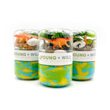 Grab & Go Dough Jar- Dinosaur
