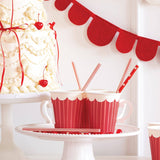 Believe Reusable Straws