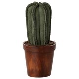 Flower Pot with Cactus