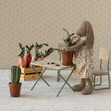Flower Pot with Cactus