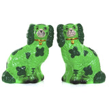 Staffordshire Spaniel- Neon Green