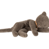 Sleeping kitten plush, Small- Grey