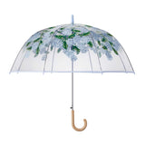Hydrangea Clear Umbrella