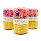 Grab & Go Dough Jar -  Magical Fairy