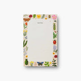 Curio Notepad