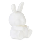 Paint Your Own Bunny Bank