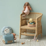 Pet basket- Powder