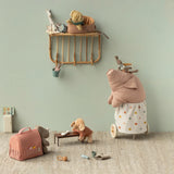 Pet basket- Powder