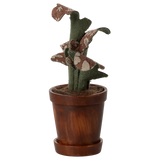 Flower Pot with Plant