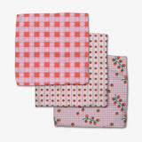 Quilt Tomato Harvest Dishcloth Set